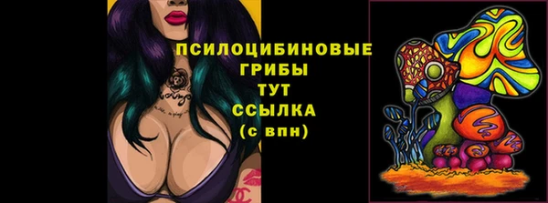 винт Алзамай